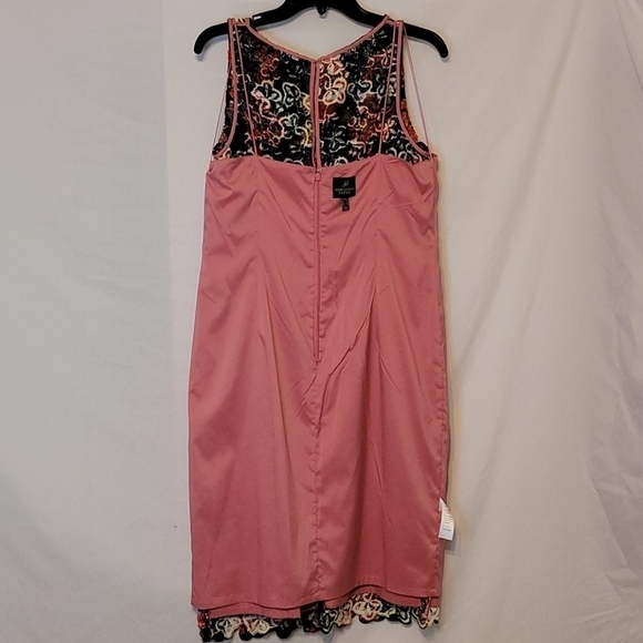 𝅺adrianna Papell lace overlay Sleeveless Dress - Picture 16 of 17
